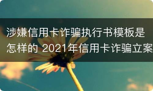 涉嫌信用卡诈骗执行书模板是怎样的 2021年信用卡诈骗立案标准