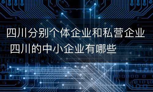 四川分别个体企业和私营企业 四川的中小企业有哪些