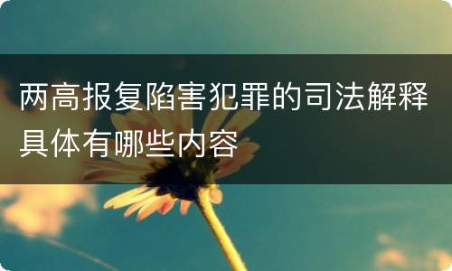 两高报复陷害犯罪的司法解释具体有哪些内容