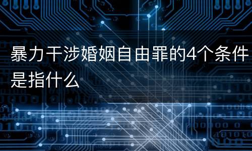 暴力干涉婚姻自由罪的4个条件是指什么