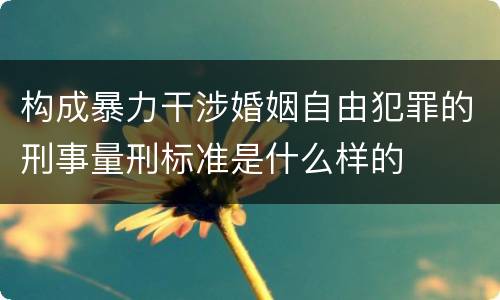 构成暴力干涉婚姻自由犯罪的刑事量刑标准是什么样的