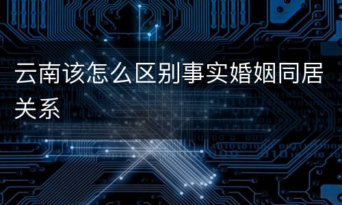 云南该怎么区别事实婚姻同居关系