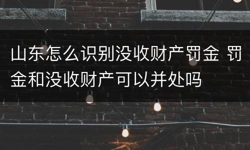 山东怎么识别没收财产罚金 罚金和没收财产可以并处吗