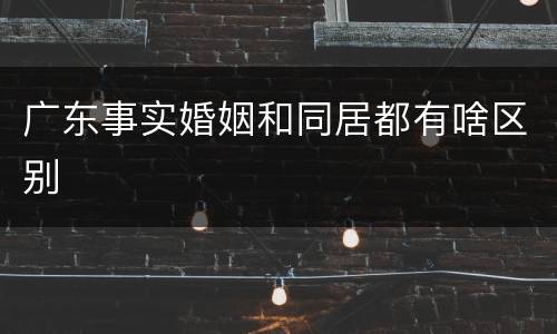 广东事实婚姻和同居都有啥区别