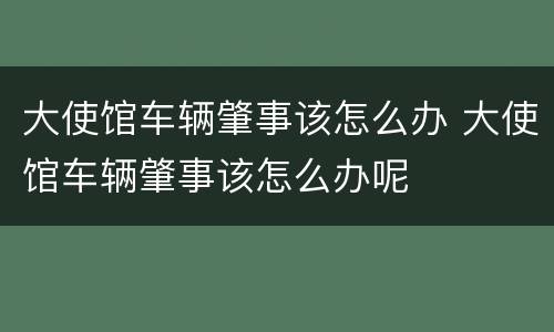 大使馆车辆肇事该怎么办 大使馆车辆肇事该怎么办呢