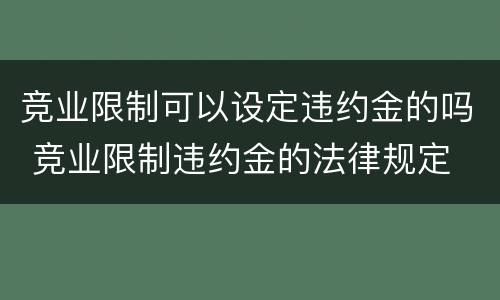 竞业限制可以设定违约金的吗 竞业限制违约金的法律规定