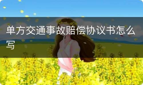 单方交通事故赔偿协议书怎么写
