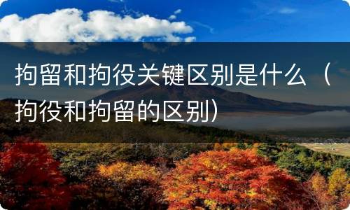 拘留和拘役关键区别是什么（拘役和拘留的区别）