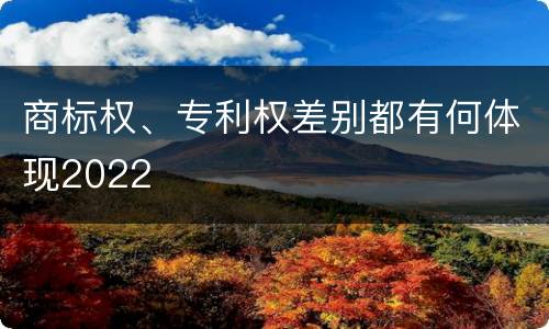 商标权、专利权差别都有何体现2022