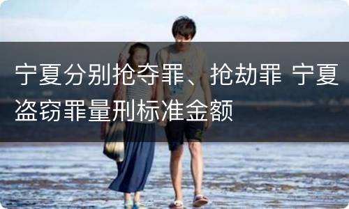 宁夏分别抢夺罪、抢劫罪 宁夏盗窃罪量刑标准金额