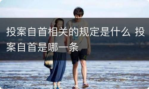 投案自首相关的规定是什么 投案自首是哪一条