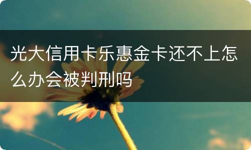 光大信用卡乐惠金卡还不上怎么办会被判刑吗