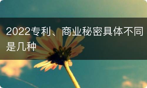 2022专利、商业秘密具体不同是几种