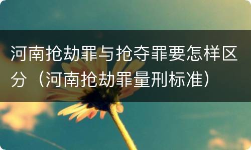河南抢劫罪与抢夺罪要怎样区分（河南抢劫罪量刑标准）