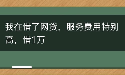 我在借了网贷，服务费用特别高，借1万