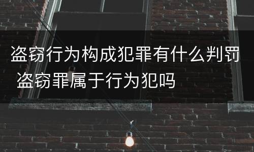 盗窃行为构成犯罪有什么判罚 盗窃罪属于行为犯吗
