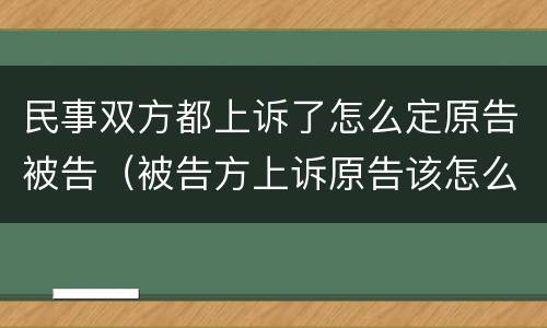 民事双方都上诉了怎么定原告被告（被告方上诉原告该怎么办）