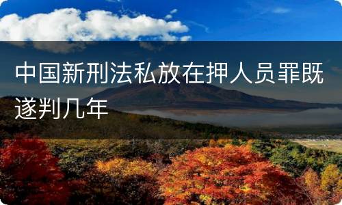 中国新刑法私放在押人员罪既遂判几年