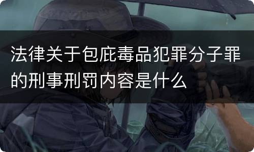 法律关于包庇毒品犯罪分子罪的刑事刑罚内容是什么