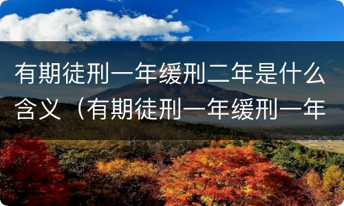 有期徒刑一年缓刑二年是什么含义（有期徒刑一年缓刑一年什么意思还要坐牢吗）