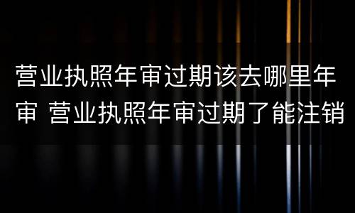 营业执照年审过期该去哪里年审 营业执照年审过期了能注销吗