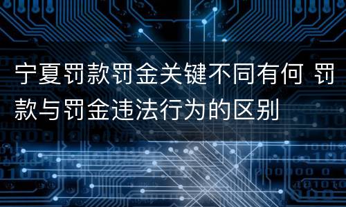宁夏罚款罚金关键不同有何 罚款与罚金违法行为的区别
