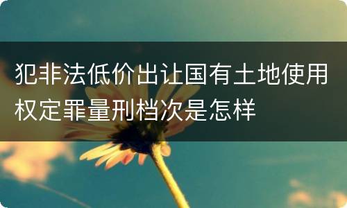 犯非法低价出让国有土地使用权定罪量刑档次是怎样