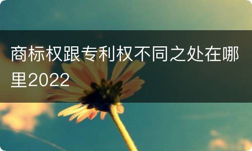 商标权跟专利权不同之处在哪里2022