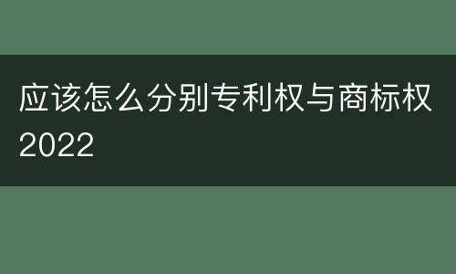 应该怎么分别专利权与商标权2022