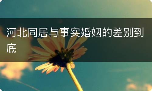 河北同居与事实婚姻的差别到底