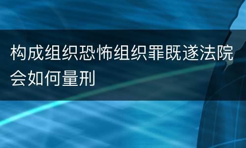 构成组织恐怖组织罪既遂法院会如何量刑