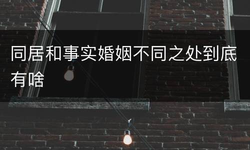 同居和事实婚姻不同之处到底有啥