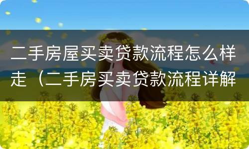 二手房屋买卖贷款流程怎么样走（二手房买卖贷款流程详解）
