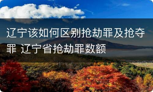 辽宁该如何区别抢劫罪及抢夺罪 辽宁省抢劫罪数额