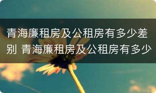 青海廉租房及公租房有多少差别 青海廉租房及公租房有多少差别呢