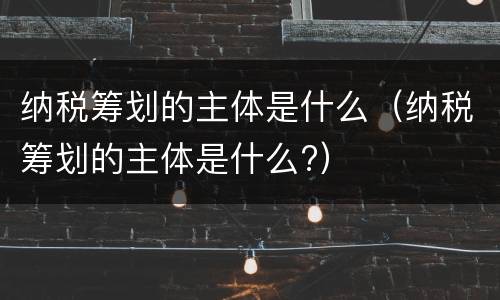 纳税筹划的主体是什么（纳税筹划的主体是什么?）