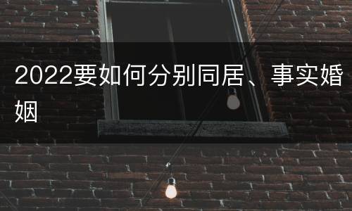 2022要如何分别同居、事实婚姻