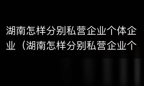 湖南怎样分别私营企业个体企业（湖南怎样分别私营企业个体企业和公司）
