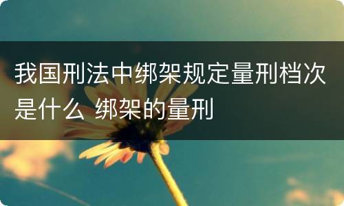 我国刑法中绑架规定量刑档次是什么 绑架的量刑