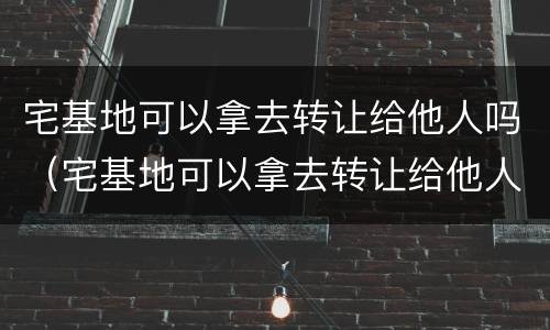 宅基地可以拿去转让给他人吗（宅基地可以拿去转让给他人吗法律）