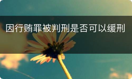 因行贿罪被判刑是否可以缓刑