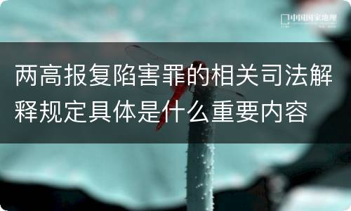 两高报复陷害罪的相关司法解释规定具体是什么重要内容