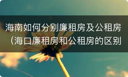 海南如何分别廉租房及公租房（海口廉租房和公租房的区别）