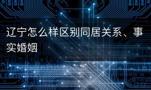辽宁怎么样区别同居关系、事实婚姻