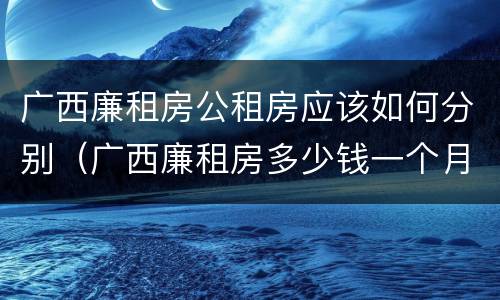 广西廉租房公租房应该如何分别（广西廉租房多少钱一个月）