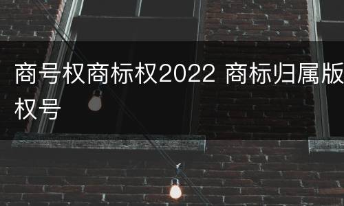 商号权商标权2022 商标归属版权号