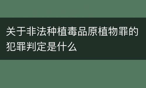 关于非法种植毒品原植物罪的犯罪判定是什么