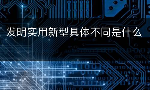 发明实用新型具体不同是什么