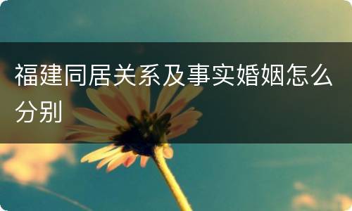 福建同居关系及事实婚姻怎么分别