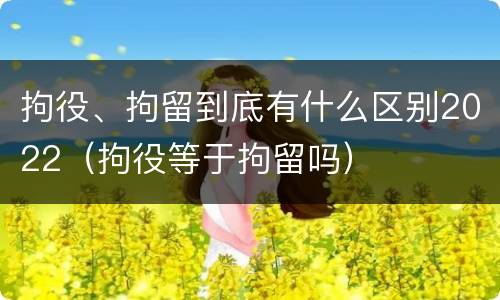 拘役、拘留到底有什么区别2022（拘役等于拘留吗）